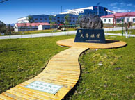 烟台天华矿业集团